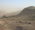 Photo of Jonah Choiniere excavating a sediment block in a sandstorm in China.