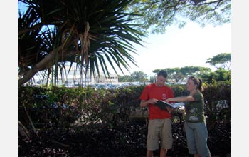 Photo of Joshua Atwood and Danielle Frohlich using a key to identify a non-native palm species.