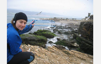 Photo of Jessica Meir scanning for the radio transmission of a seal that has returned from sea.