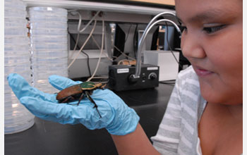 Photo of a student at Arizona State's College-for-Kids holding a large South African beetle.