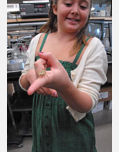 Photo of a girl holding a grasshopper at ASU's STEM Summer College-for-Kids.