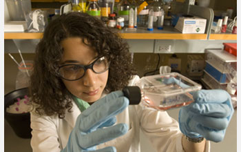 Photo of a student in Rutgers' state-of-the-art lab facilities.