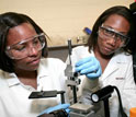 Photo of two students working on a research project in the lab.