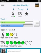 screenshot of the Fittle ipad App