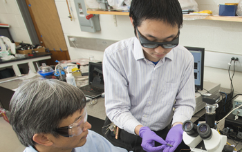 Delaware EPSCoR researcher Juejun Hu holds a sensor chip, while Chaoying Ni looks on.