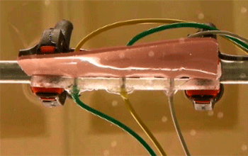 gif of moving artificial muscle