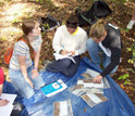Photo of students making observations on Shale Hills soils for an environmental geochemistry course.