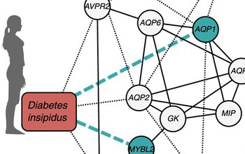 diagram showing local network around the human disease diabetes insipidus