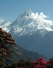 Photo of mountain peak, Machupuchare in the Himalaya in central Nepal