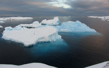 Small icebergs in Kristie Cove