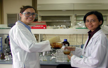 REU students work in organic chemistry lab, Bangkok, Thailand
