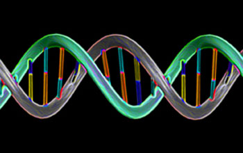 graphical representation of DNA sequence