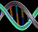 graphical representation of DNA sequence