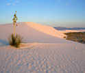 Photo of White Sands, New Mexico.