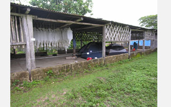 Photo of Winkler bags hanging at camp in the community of Playón de la Gloria, Chiapas, Mexico.
