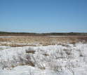 wetlands covered in ice and snow.