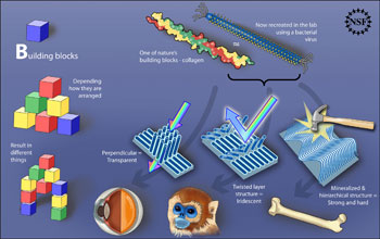 Illustration showing how the arrangement of molecular building blocks yields novel materials