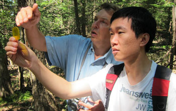 Researchers demonstrate the use of wedge prism at Black Rock Forest.