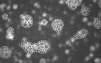 microbubbles