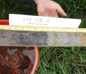two hands holding a core showing dark gray wetland soil, left, and lighter soil, right.