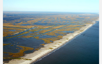 Aerial photo of Gulf wetlands.