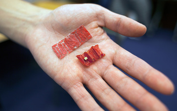 Photo of ingestible origami robot shown in the palm of a hand