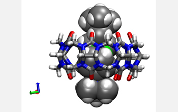 Computer image of the CB[7] Ferrocene molecular container.