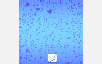 Microscopic image of silicon dioxide nanoparticles.