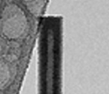 Low resolution transmission electron microscope image showing a hollow zinc oxide nanotube.