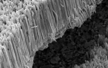 Field of nanowires that produced nanomushrooms