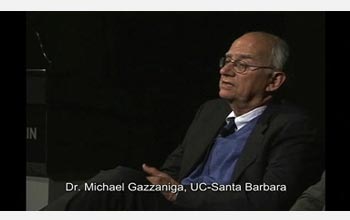 Michael Gazzaniga discusses whether brain structure makes some people pre-disposed to violence.