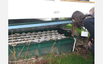 Photo showing filters inside a denitrifying bioreactor installed at a Rhode Island home.