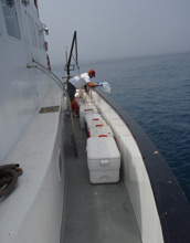 Photo of scientist Michael Beman preparing to collect seawater off the coast of southern California.