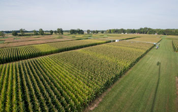 An aerial view of agriculture experiments.