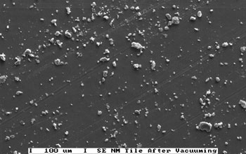 SEM of Soil Particles on Floor Tiles