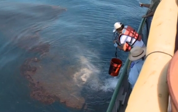 worker scooping buckets of oil out of water