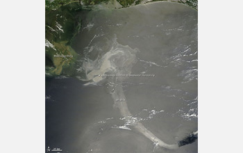 Satellite image showing oil on the Gulf's surface glinting in mid-day sunlight.