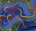 Illustration showing the Gulf's Loop Current, which may carry oil far afield.