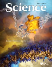 Cover of the February 20, 2009 edition of the journal Science.