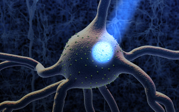 A neuron activated by light