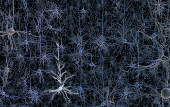 An activated neuron in a tangle of neurons.