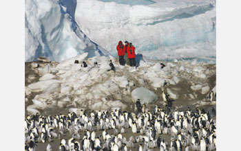 Photo of researchers and emperor penguins.