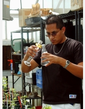 ASSURED participant mixes a batch of biological control agents