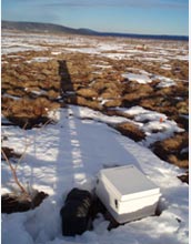 Photo of the Alaskan permafrost research site.