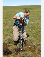 Photo of Thomas A. Douglas, co-principal investigator on the project, drilling in tundra.
