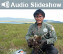 Photo of researcher in a field and the words Audio Slideshow