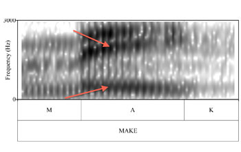 graphic representation of a speaker vocal progression from the word make to meek