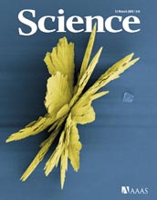Cover of March 13, 2009 issue of Science magazine.