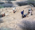 Re-excavation of the Omo 1 site by the research team.