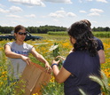 Three students collecting plant biomass samples in the field